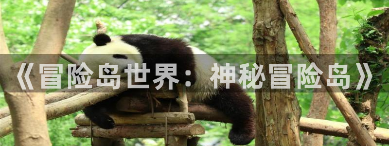 庄闲如何赢钱：《冒险岛世界：神秘冒险岛》