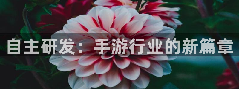 庄闲游戏推广最简单三个步骤：自主研发：手游行业的新篇章