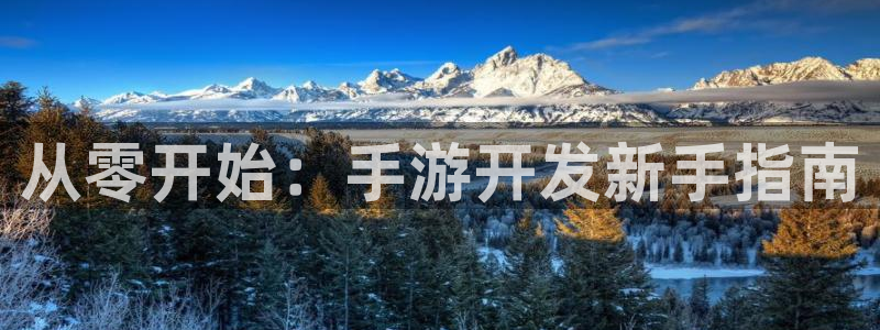 庄闲游戏导航：从零开始：手游开发新手指南