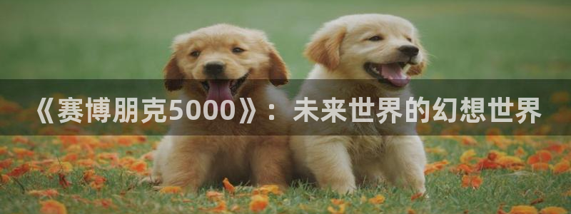庄闲规则介绍幸运七：《赛博朋克5000》：未来世界的幻想世界