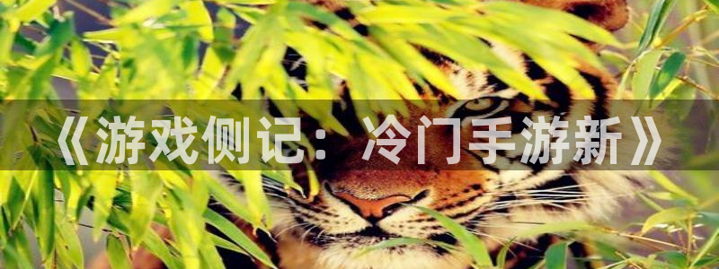 庄闲最稳：《游戏侧记：冷门手游新》
