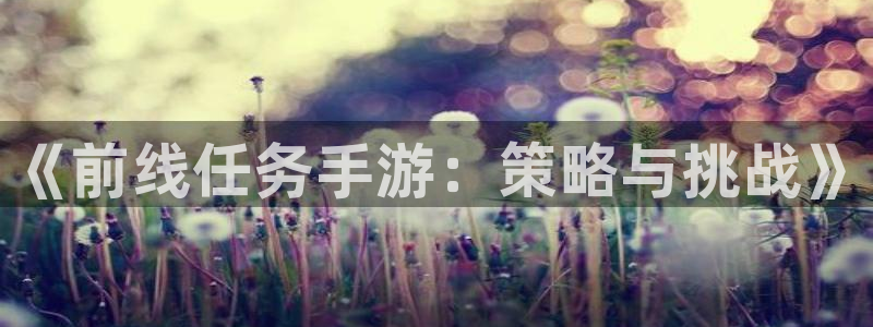 庄闲和规则图：《前线任务手游：策略与挑战》
