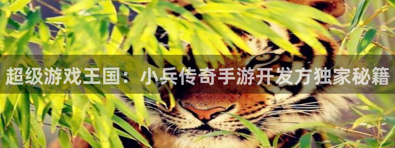 庄闲叫什么：超级游戏王国：小兵传奇手游开发方独家秘籍