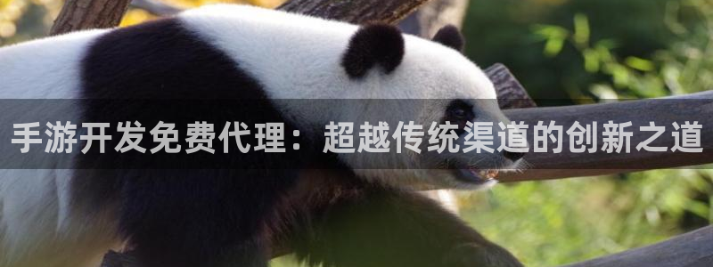 庄闲游戏稳赢方法：手游开发免费代理：超越传统渠道的创新之道