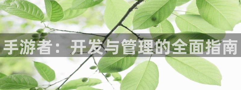 庄闲和软件下载：手游者：开发与管理的全面指南