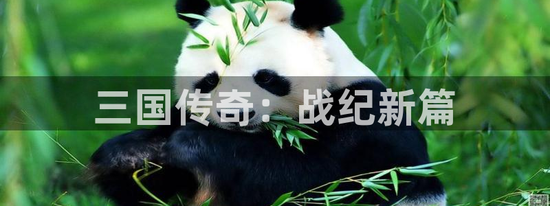 正版庄闲路单软件下载：三国传奇：战纪新篇