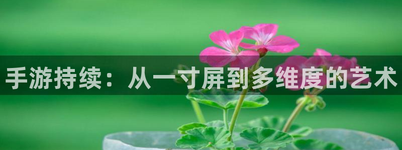 庄闲游戏程序：手游持续：从一寸屏到多维度的艺术