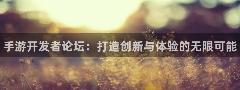 庄闲玩法补牌规则：手游开发者论坛：打造创新与体验的无限可能