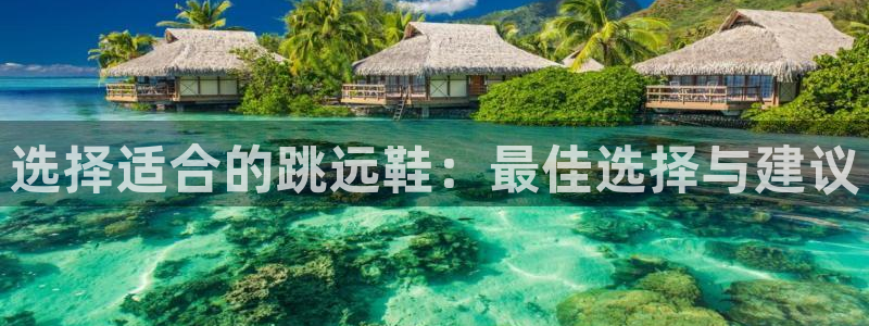 球客岛：选择适合的跳远鞋：最佳选择与建议