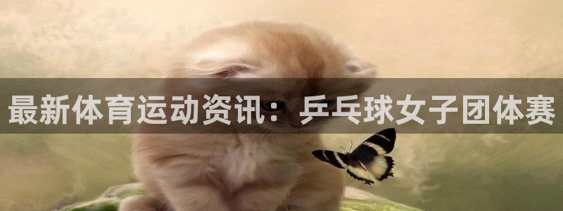 球客岛：最新体育运动资讯：乒乓球女子团体赛