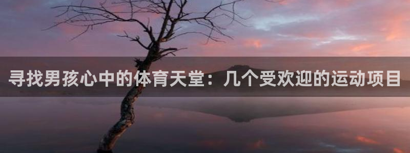 球客岛：寻找男孩心中的体育天堂：几个受欢迎的运动项目