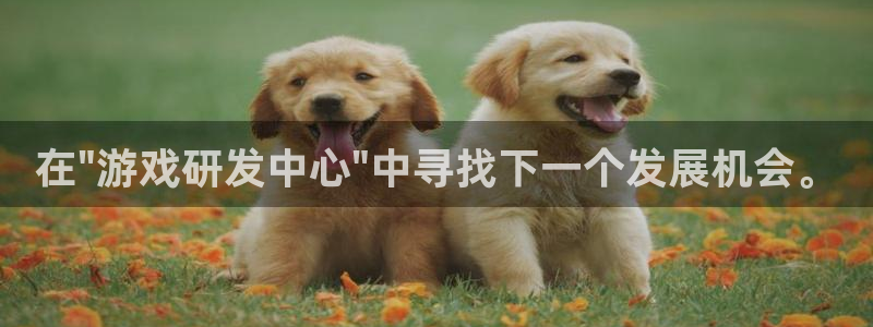 庄闲和补牌规则视频：在\