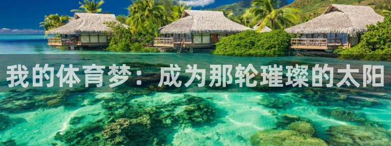 球客岛：我的体育梦：成为那轮璀璨的太阳