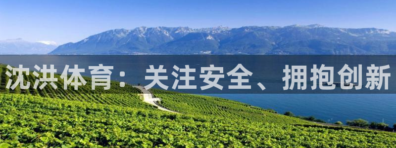 球客岛：沈洪体育：关注安全、拥抱创新