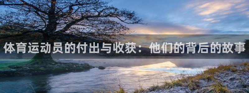 球客岛：体育运动员的付出与收获：他们的背后的故事