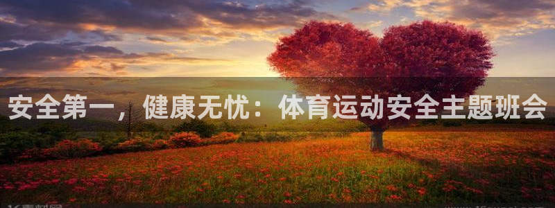 球客岛：安全第一，健康无忧：体育运动安全主题班会
