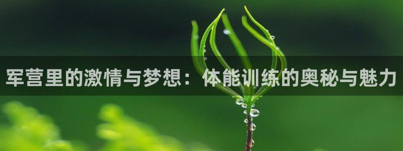球客岛