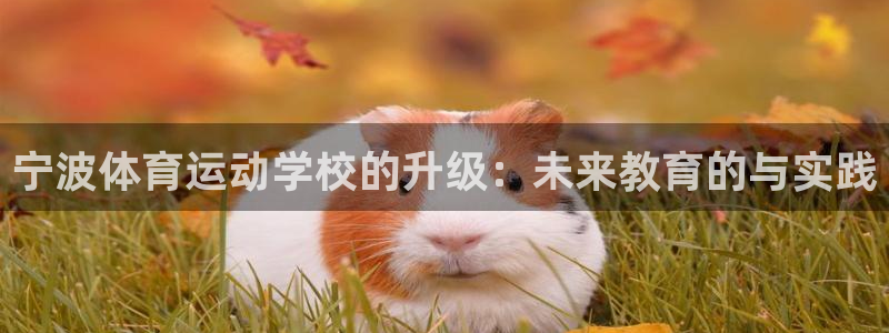 球客岛：宁波体育运动学校的升级：未来教育的与实践